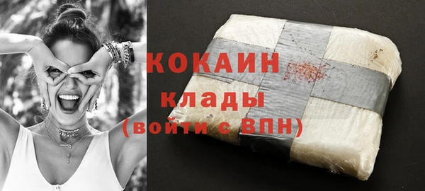 твердый Алексин