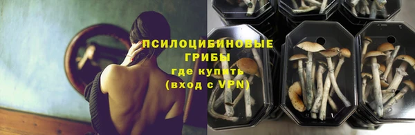 твердый Алексин