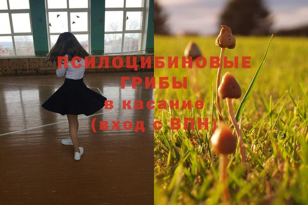 ГАЛЛЮЦИНОГЕННЫЕ ГРИБЫ Алексеевка